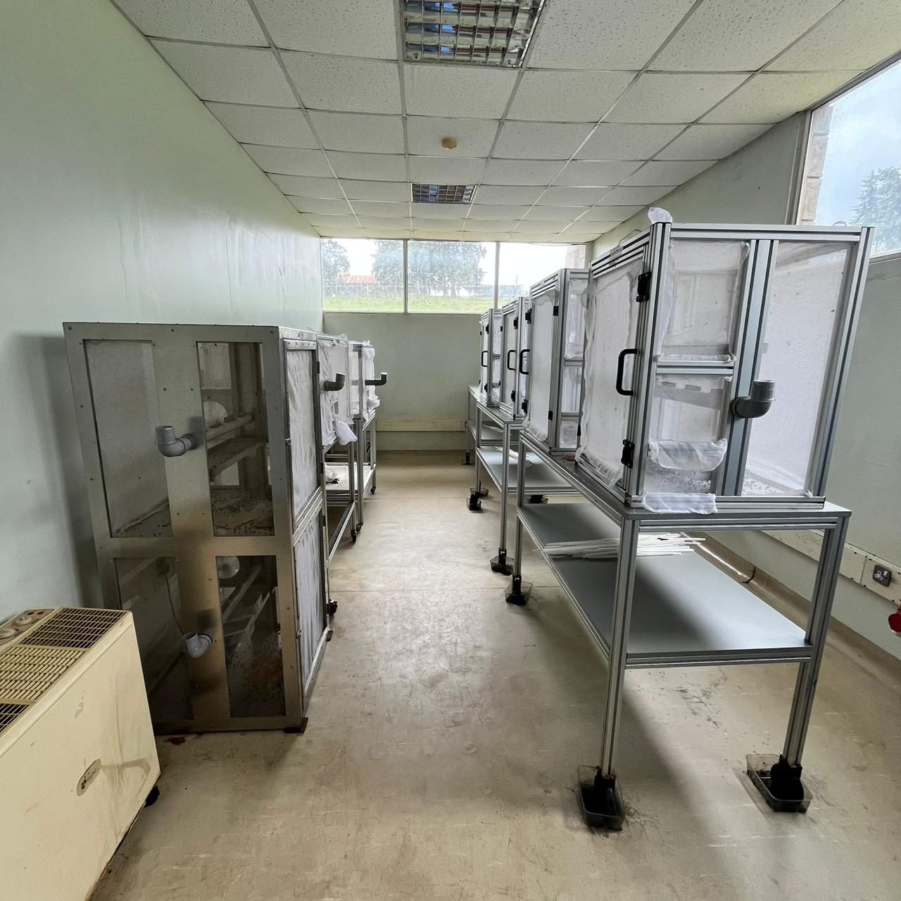 Rows of enclosed rearing cages on racks in a lab corridor